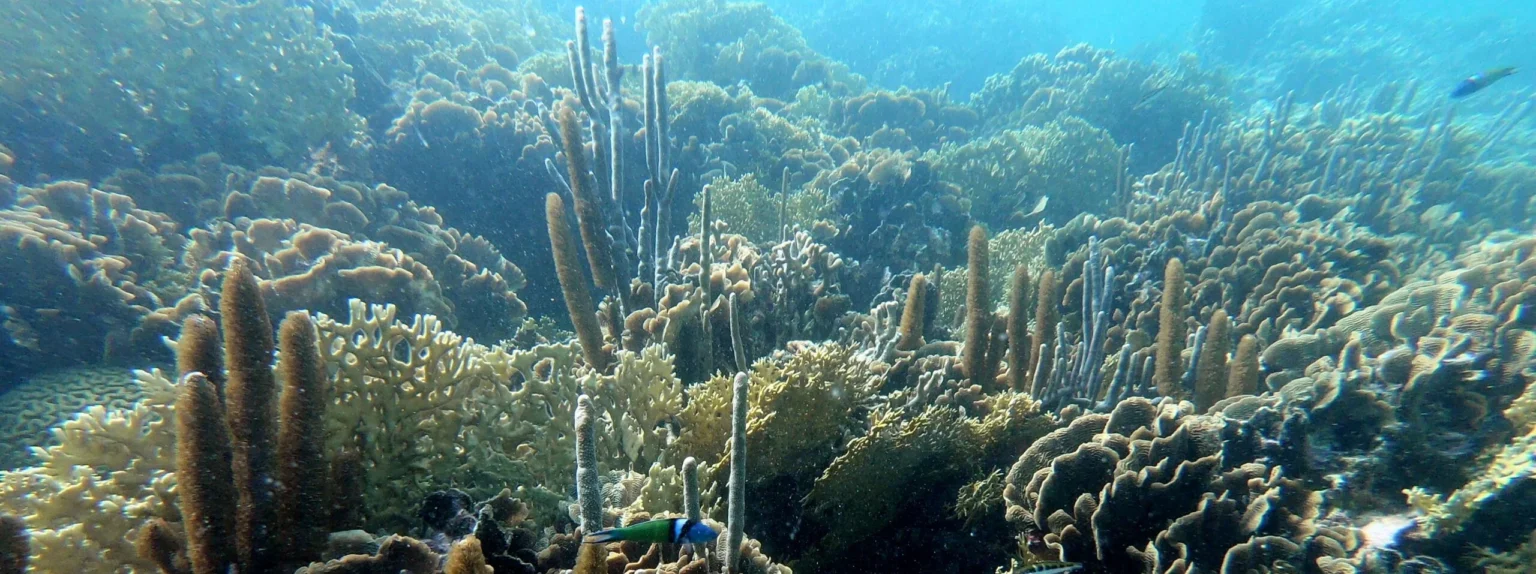 Eco-friendly practices on sailboat